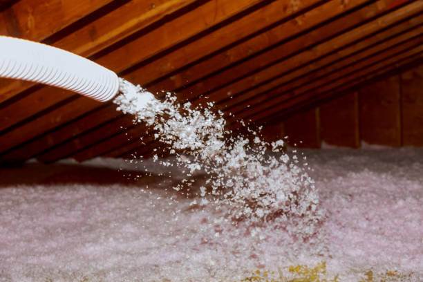 Best Attic Insulation Installation  in Royal Pines, NC