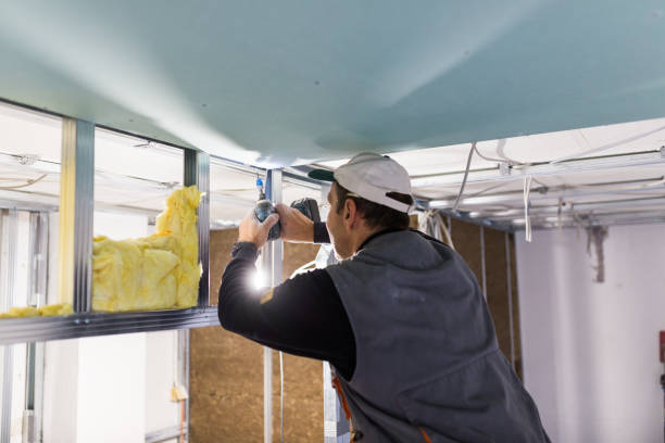 Best Insulation Contractor Near Me  in Royal Pines, NC