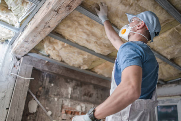 Best Local Insulation Services  in Royal Pines, NC