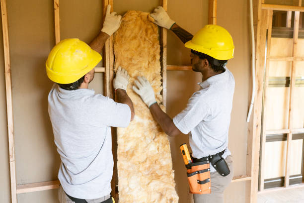 Best Energy-efficient Insulation  in Royal Pines, NC