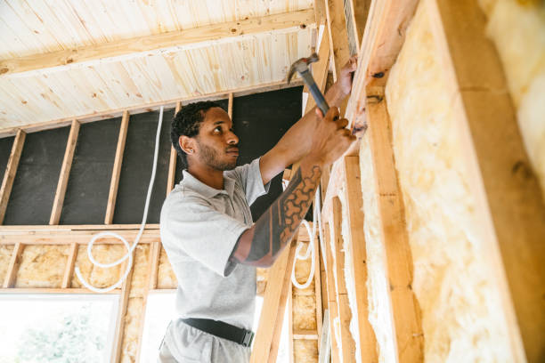 Best Insulation Contractors for Homes  in Royal Pines, NC