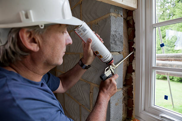 Best Spray Foam Insulation  in Royal Pines, NC