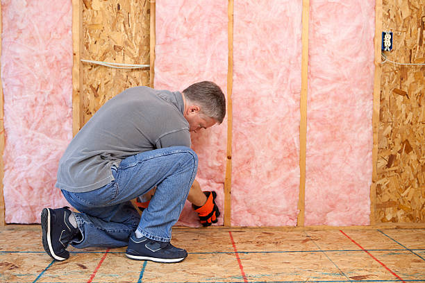 Best Affordable Insulation Services  in Royal Pines, NC